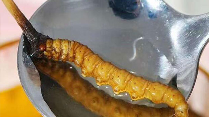 響應式網站建設