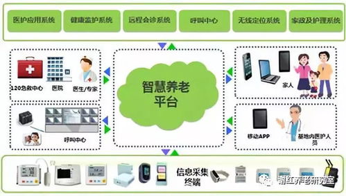社區(qū)居家養(yǎng)老服務(wù)現(xiàn)狀制約長照險支付制度設(shè)計(jì)的計(jì)算機(jī)系統(tǒng)服務(wù)視角